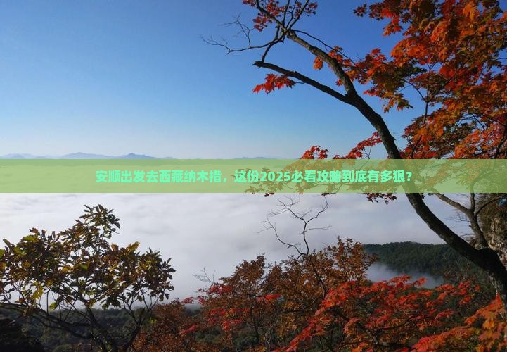 安顺到西藏纳木措旅游