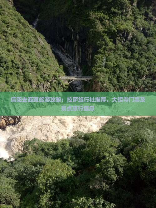 信阳去西藏大昭寺门票