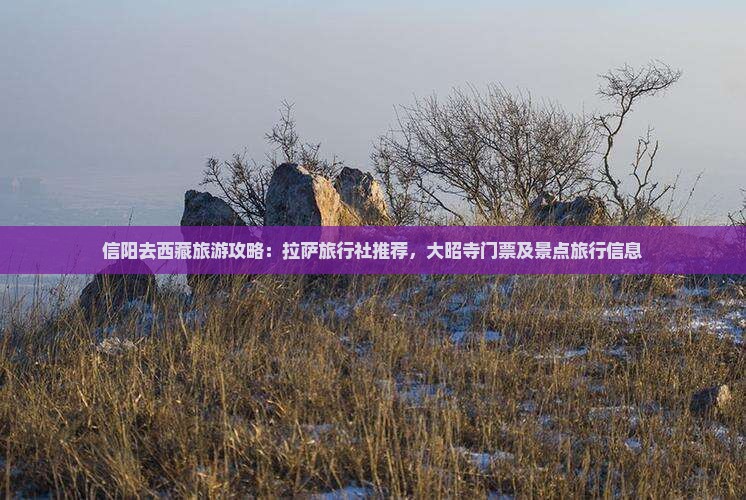 信阳去西藏大昭寺门票