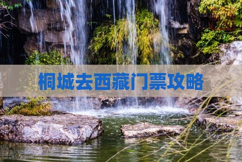 桐城去西藏门票