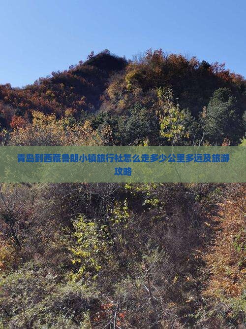 青岛到西藏鲁朗小镇旅行社