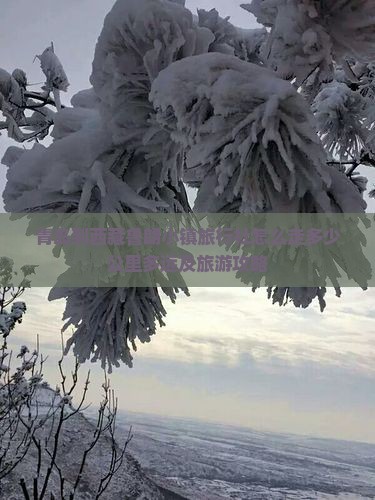 青岛到西藏鲁朗小镇旅行社