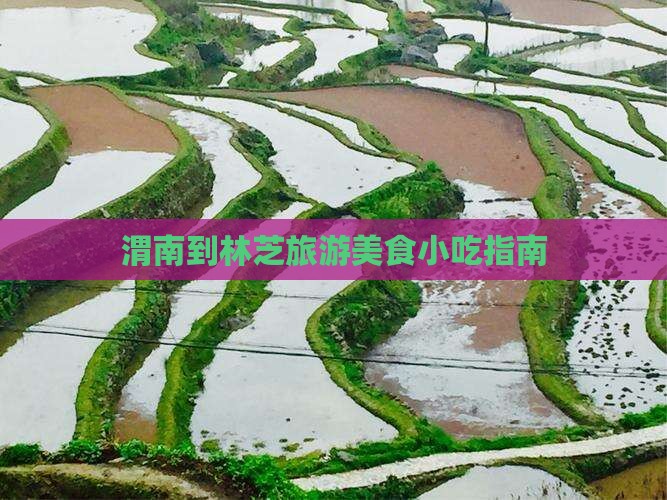 渭南到西藏林芝旅游小吃
