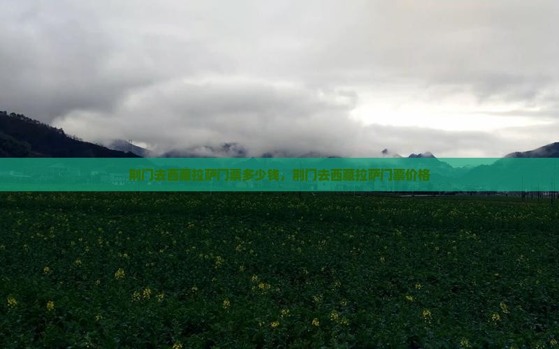 荆门去西藏拉萨门票