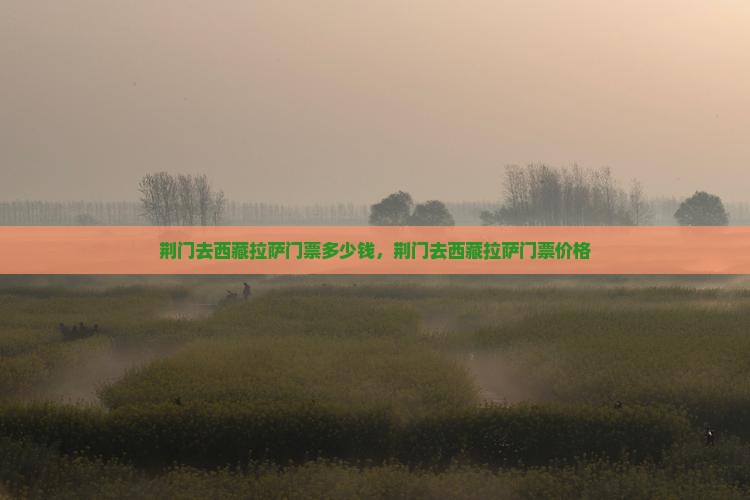 荆门去西藏拉萨门票
