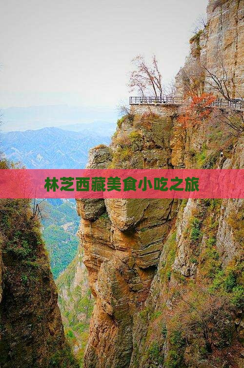 攀枝花去西藏林芝旅游小吃 攀枝花去西藏林芝旅游小吃