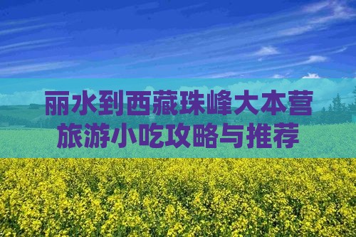 丽水到西藏珠峰大本营旅游小吃
