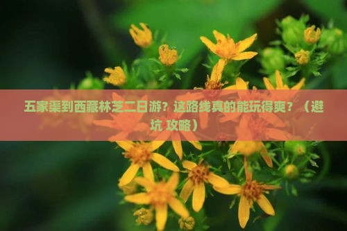 五家渠到西藏林芝二日游