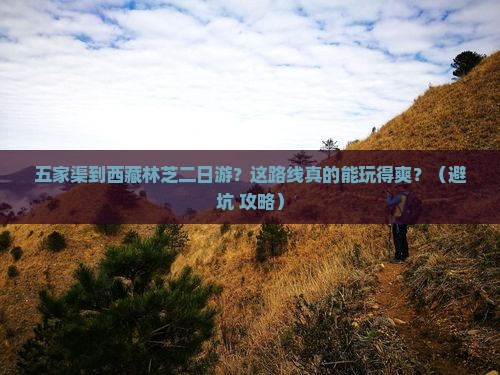 五家渠到西藏林芝二日游