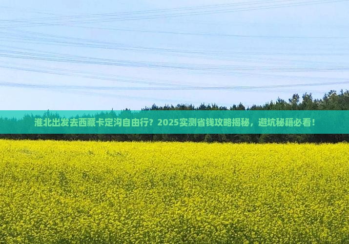 淮北去西藏卡定沟自由行