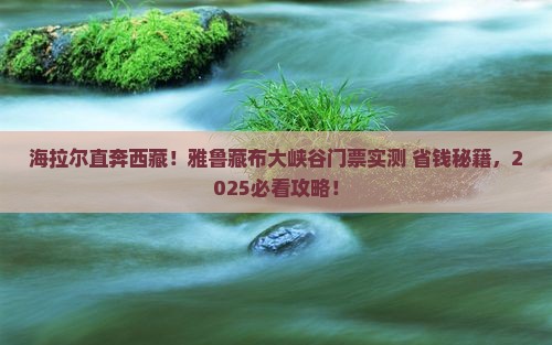 海拉尔去西藏雅鲁藏布大峡谷门票