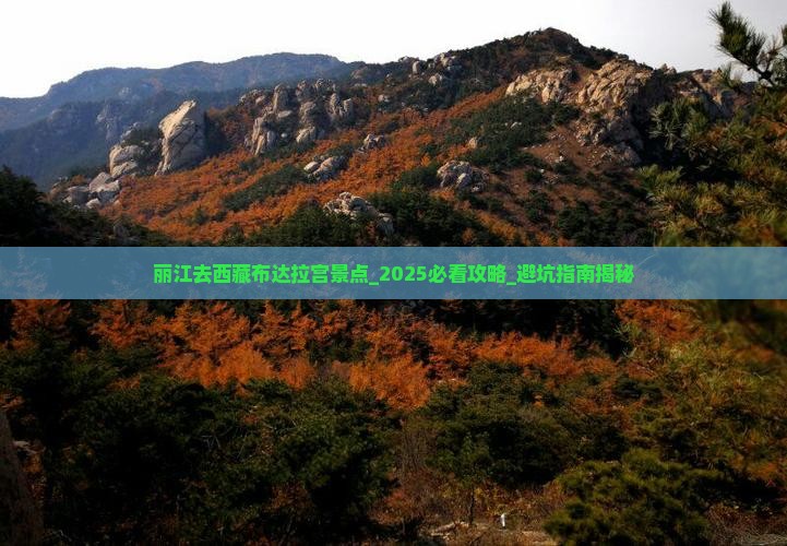 丽江去西藏布达拉宫景点