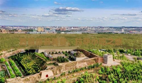 醴陵到西藏拉萨旅游小吃