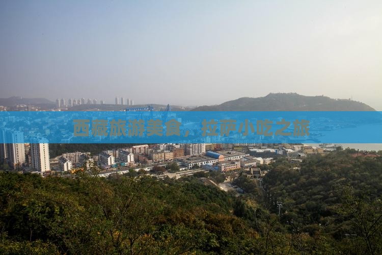 醴陵到西藏拉萨旅游小吃