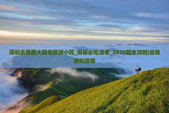 深圳去西藏大昭寺旅游小吃