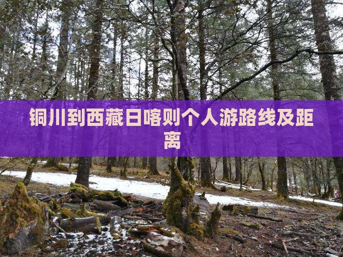 铜川到西藏日喀则个人游