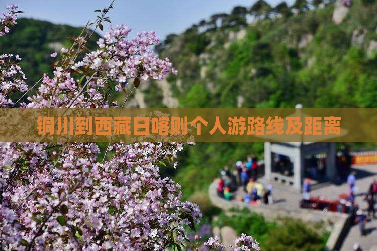 铜川到西藏日喀则个人游