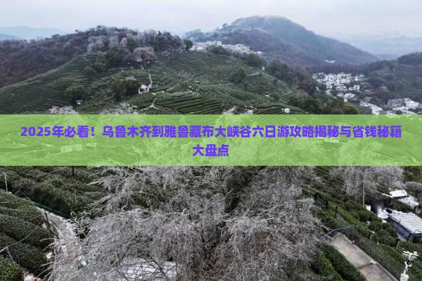 乌鲁木齐到西藏雅鲁藏布大峡谷六日游