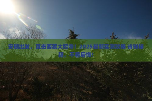 安顺去西藏大昭寺旅游