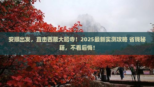 安顺去西藏大昭寺旅游