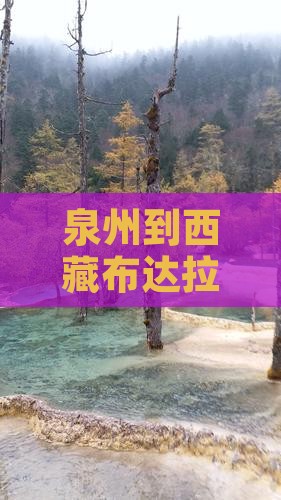 泉州到西藏布达拉宫旅游 泉州到西藏布达拉宫旅游