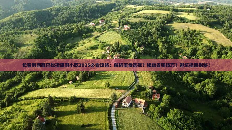 长春到西藏巴松措旅游小吃