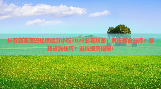 长春到西藏巴松措旅游小吃