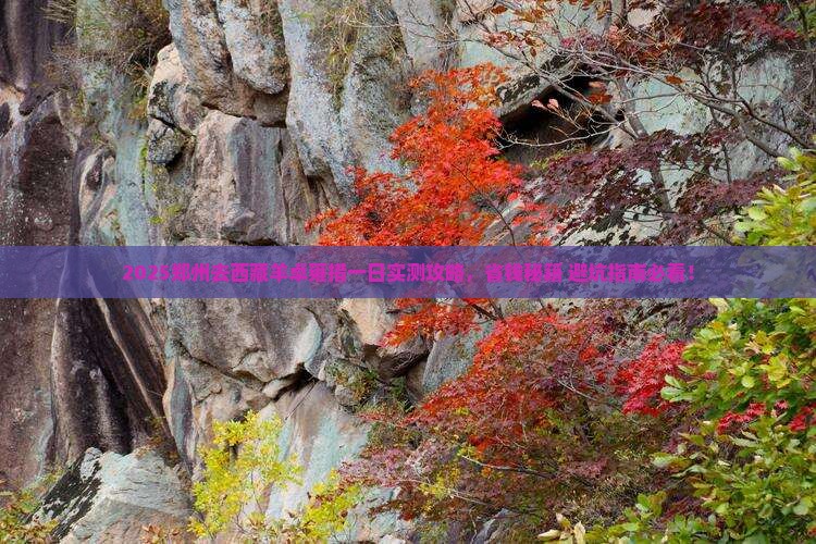 郑州去西藏羊卓雍措一日