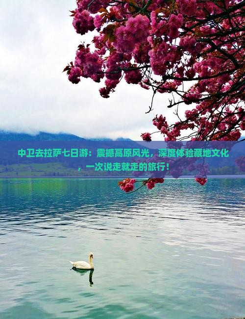 中卫去西藏拉萨七日游
