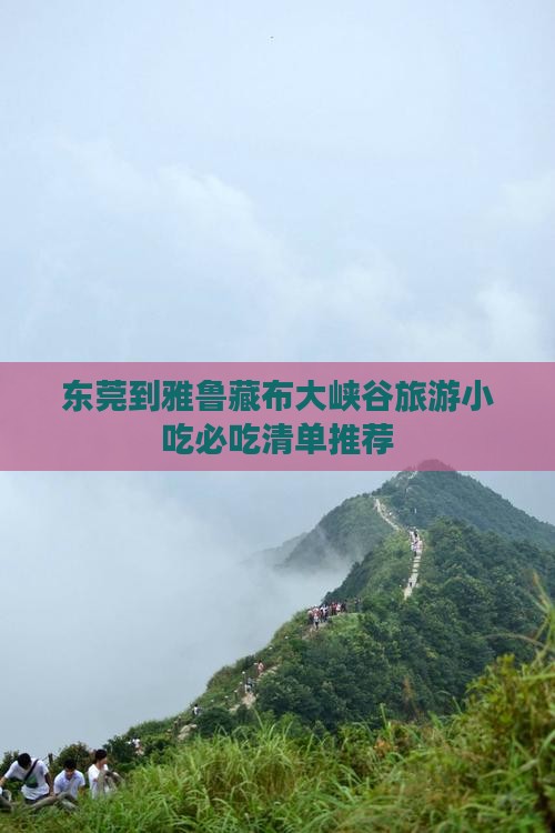东莞到西藏雅鲁藏布大峡谷旅游小吃