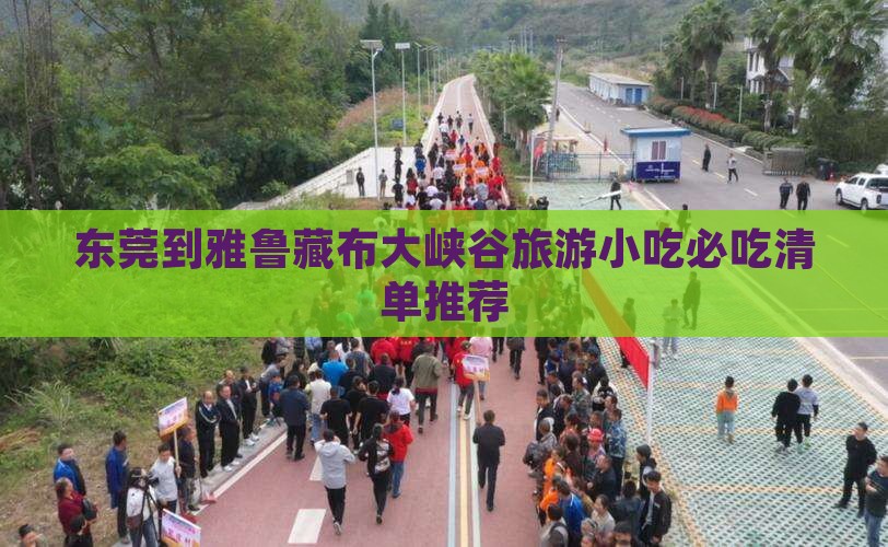 东莞到西藏雅鲁藏布大峡谷旅游小吃