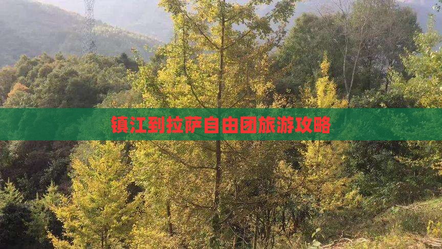 镇江到西藏拉萨自由团