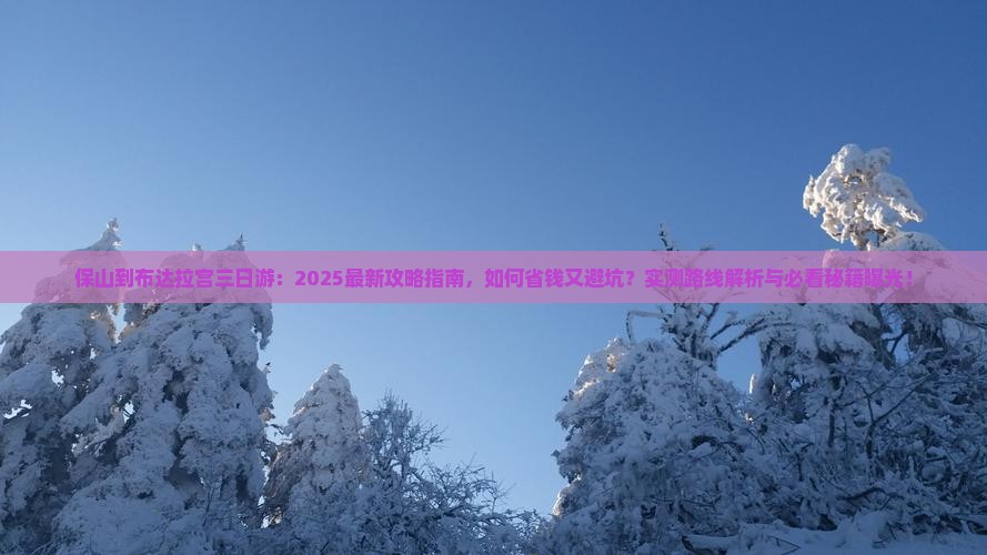 保山到西藏布达拉宫三日游