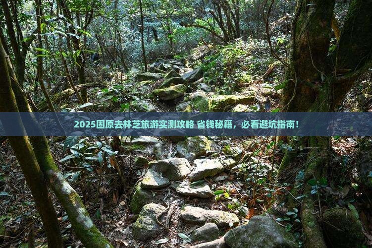 固原去西藏林芝旅游