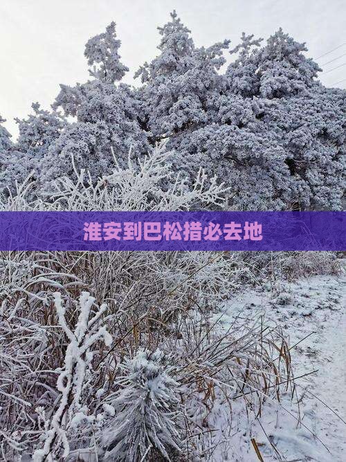 淮安到西藏巴松措必去地