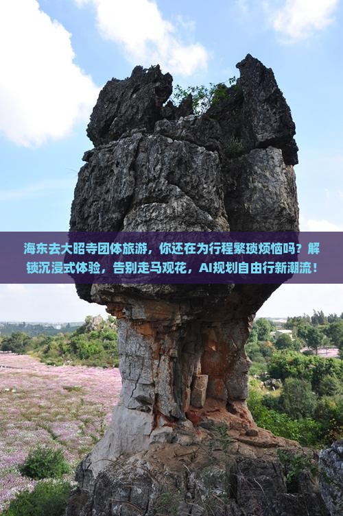 海东去西藏大昭寺团体旅游