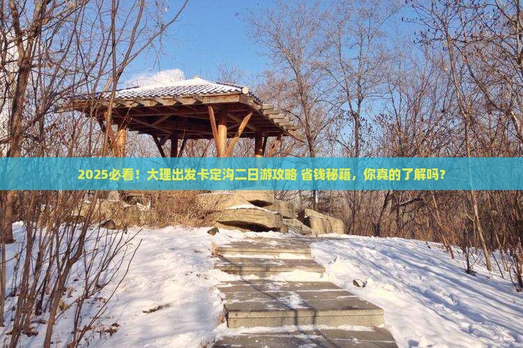 大理去西藏卡定沟二日游
