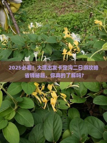 大理去西藏卡定沟二日游