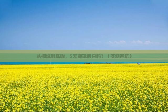 桐城到西藏珠峰大本营旅游