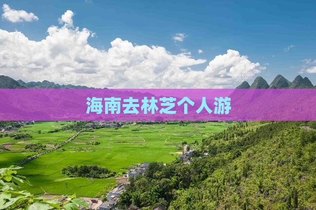 海南去西藏林芝个人游