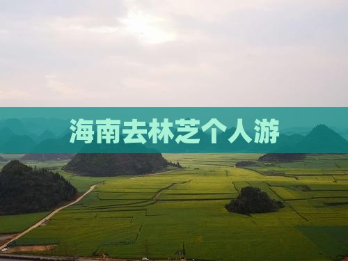 海南去西藏林芝个人游