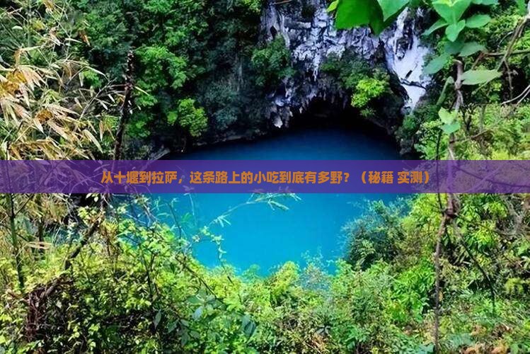 十堰到西藏拉萨旅游小吃