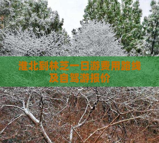 淮北到西藏林芝一日