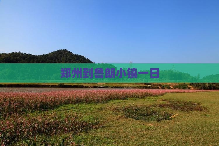 郑州到西藏鲁朗小镇一日