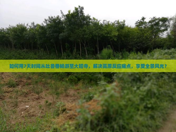 如何用7天时间从吐鲁番畅游至大昭寺，解决高原反应痛点，享受全景风光？