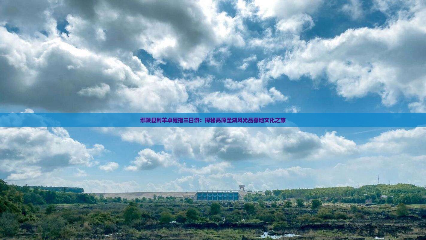 鄢陵县到羊卓雍措三日游：探秘高原圣湖风光品藏地文化之旅