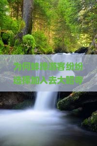 为何蚌埠游客纷纷选择加入去大昭寺大型旅游团？痛点与热门趋势！