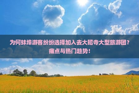 为何蚌埠游客纷纷选择加入去大昭寺大型旅游团？痛点与热门趋势！