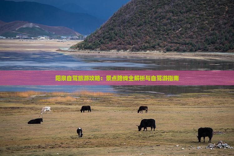 阳泉自驾旅游攻略：景点路线全解析与自驾游指南
