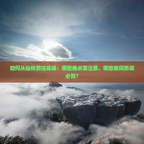 如何从仙桃前往珠峰：哪些痛点需注意，哪些新词热词必知？